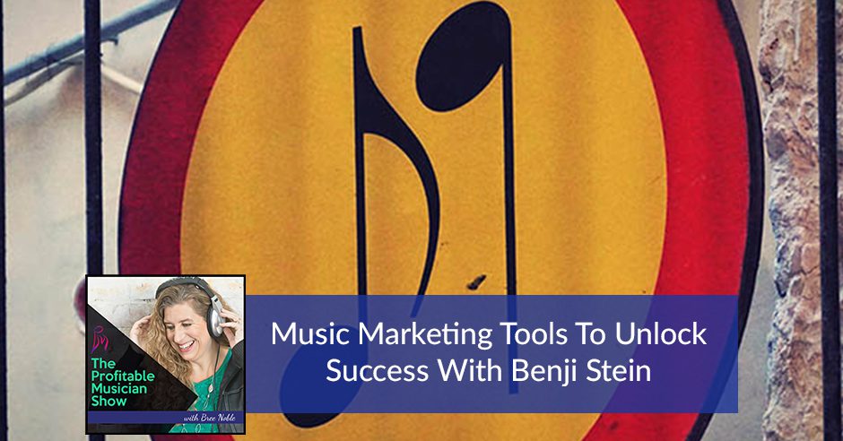 The Profitable Musician | Benji Stein | Music Marketing Tools